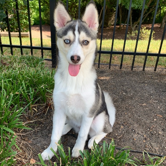 ๐ฟMEET YOUR SELLER๐ฟ Brittany Rey - Picture 4 of 5